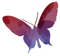 butterfly-1